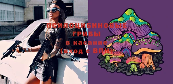 герыч Бронницы