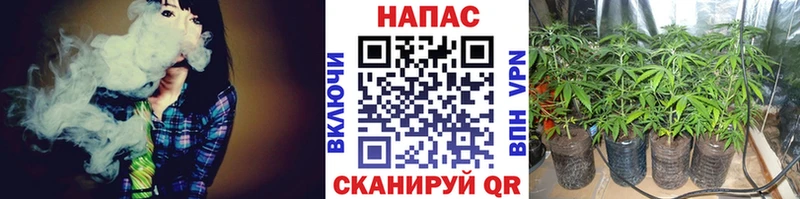 где купить наркоту  Выборг  hydra как зайти  Марихуана ГИДРОПОН 